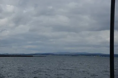 DSC_7312 (Large).JPG